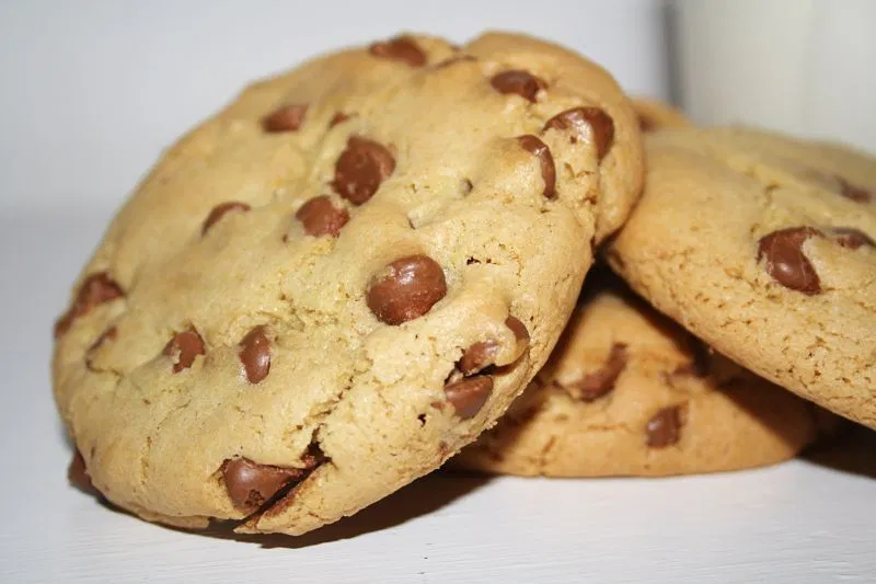 Chocolate Chip Cookie